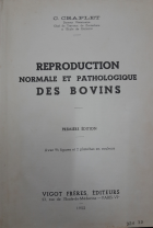 Image de couverture locale