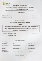 Image de couverture locale