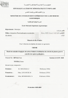 Image de couverture locale