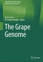 Image de couverture locale