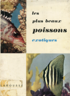 Image de couverture locale