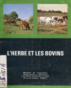 Image de couverture locale