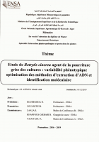 Image de couverture locale