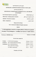 Image de couverture locale