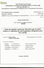 Image de couverture locale