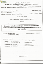 Image de couverture locale