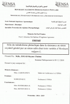 Image de couverture locale