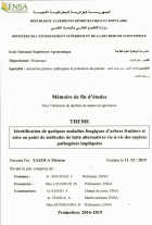 Image de couverture locale