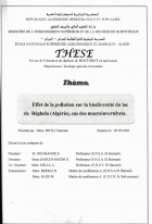 Image de couverture locale