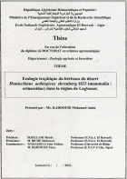 Image de couverture locale