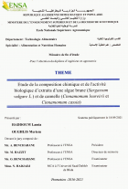 Image de couverture locale