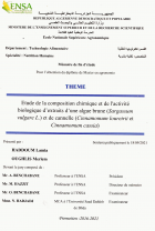 Image de couverture locale