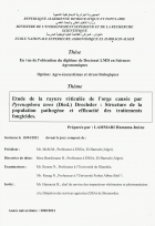 Image de couverture locale