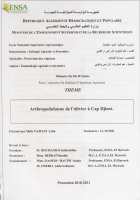 Image de couverture locale