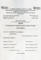 Image de couverture locale