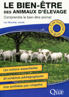 Image de couverture locale