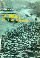 Image de couverture locale