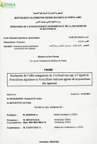 Image de couverture locale