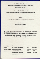 Image de couverture locale