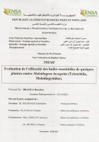 Image de couverture locale