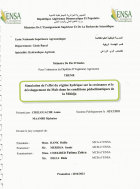 Image de couverture locale