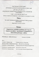 Image de couverture locale