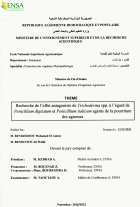 Image de couverture locale