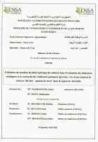 Image de couverture locale