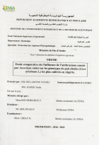 Image de couverture locale