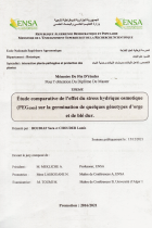 Image de couverture locale