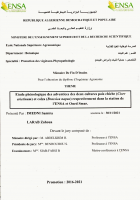 Image de couverture locale