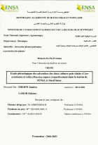 Image de couverture locale