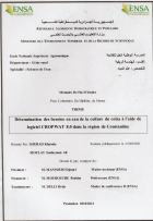 Image de couverture locale