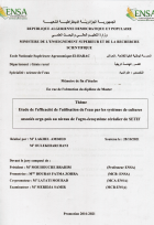 Image de couverture locale