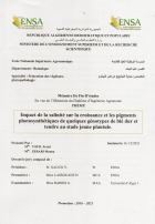 Image de couverture locale