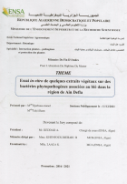 Image de couverture locale