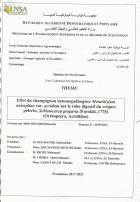 Image de couverture locale
