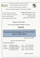 Image de couverture locale