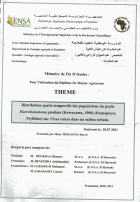 Image de couverture locale