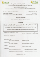 Image de couverture locale