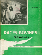 Image de couverture locale
