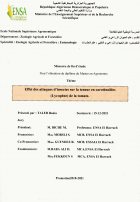 Image de couverture locale