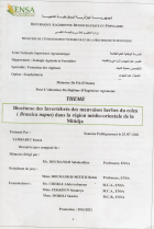 Image de couverture locale