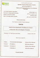 Image de couverture locale