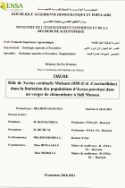 Image de couverture locale