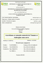 Image de couverture locale