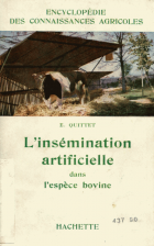 Image de couverture locale