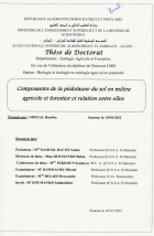 Image de couverture locale