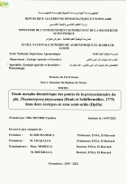 Image de couverture locale