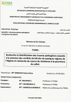 Image de couverture locale